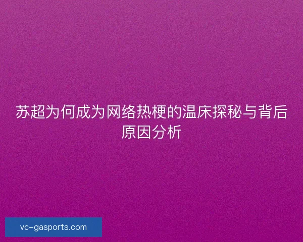 苏超为何成为网络热梗的温床探秘与背后原因分析